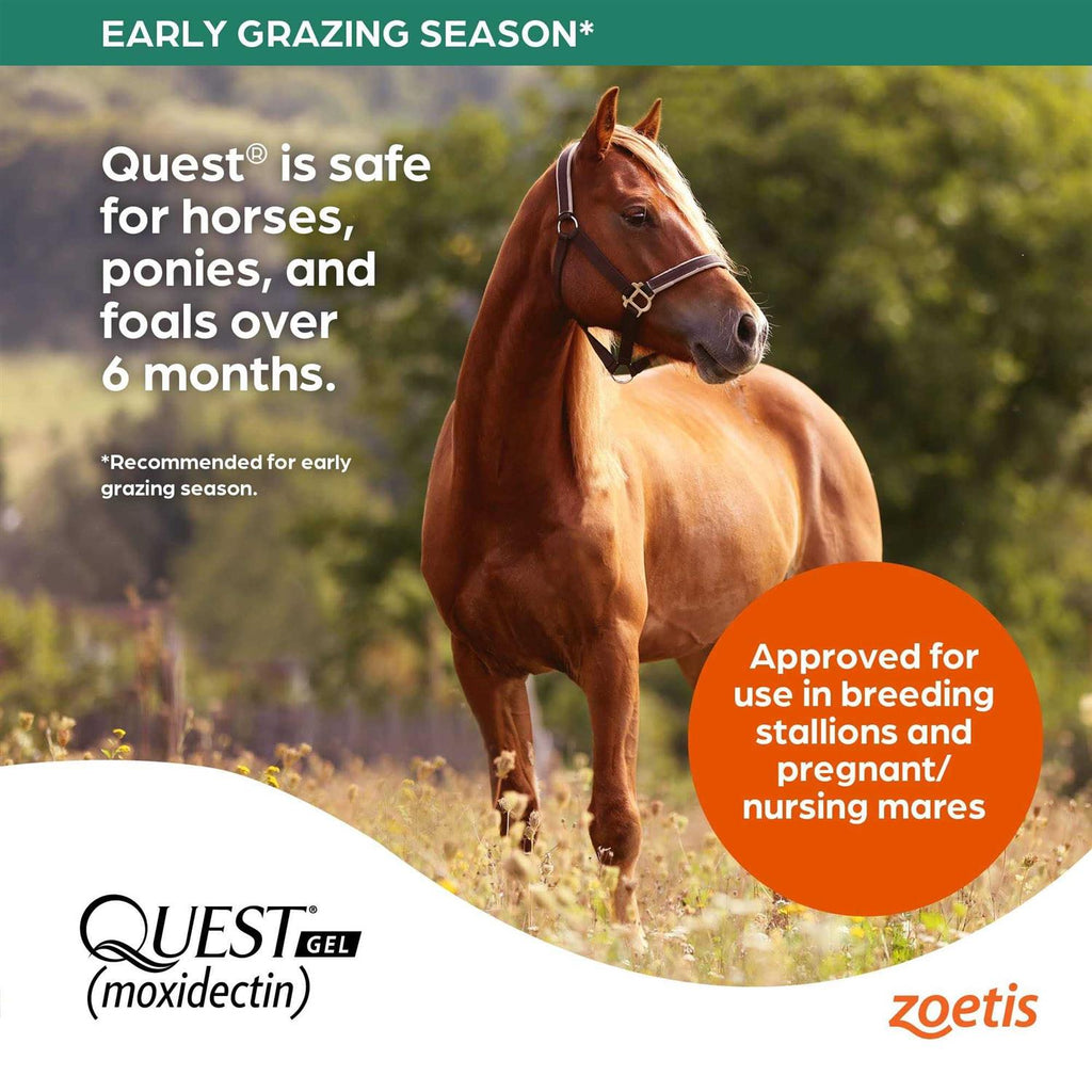 Dewormer Gel W34214