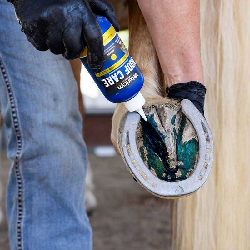 Hoof Care I401118