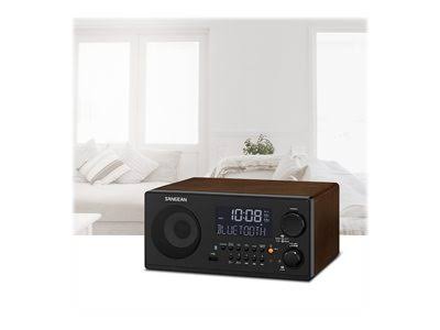 FM-RBDS / AM / USB / Bluetooth Digital Receiver V313