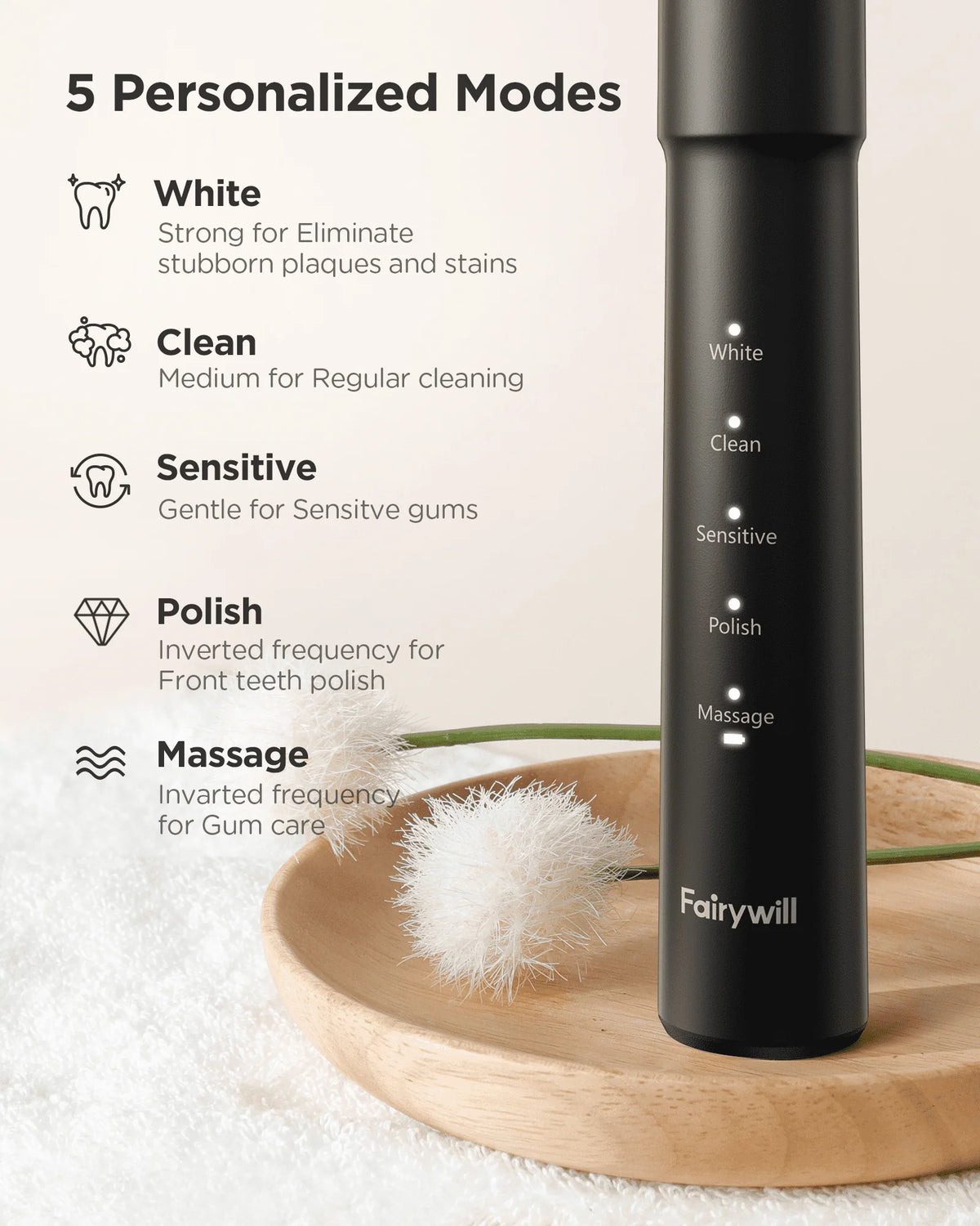 Black Water Flosser and Toothbrush Combo V592