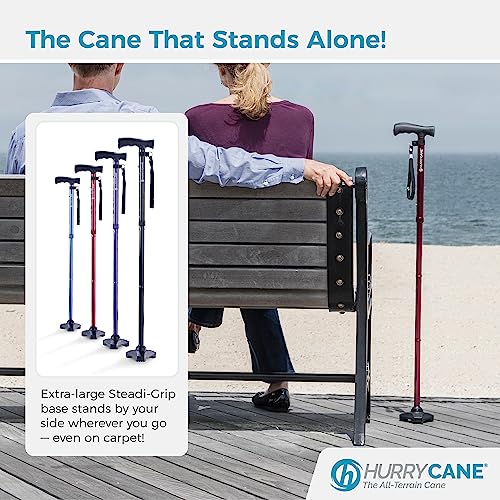 Foldable Walking Cane with T Handle L657530