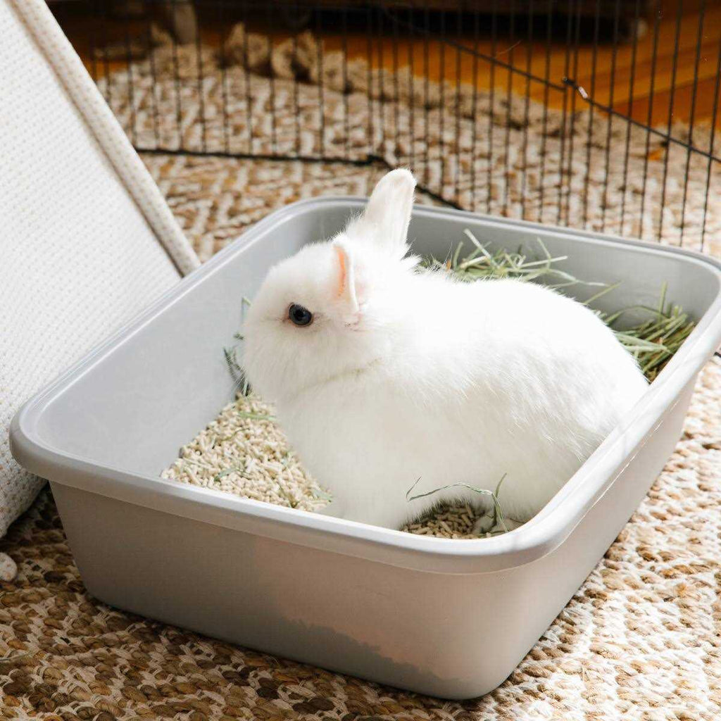 Rabbit & Ferret Litter G4849