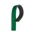 Serpentine Belt T51495