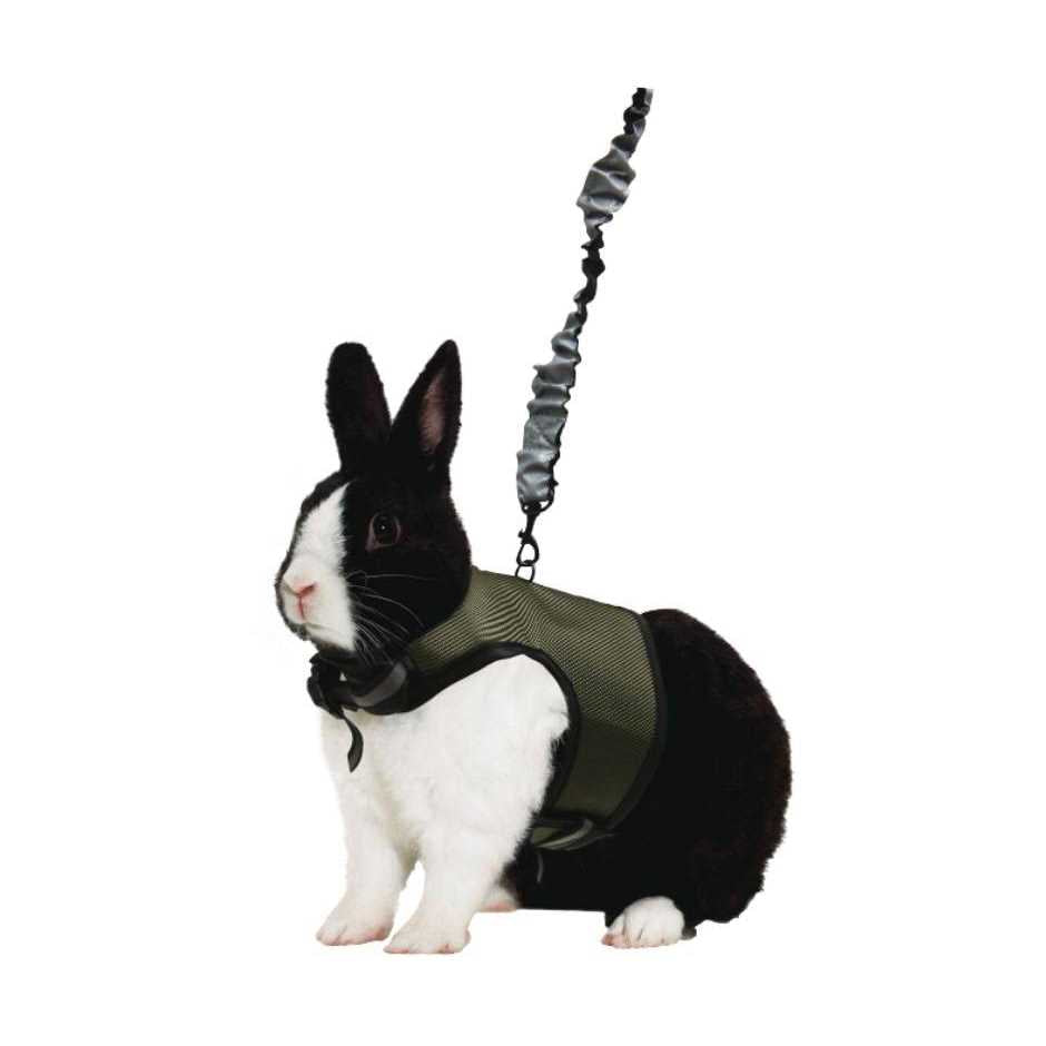 Comfort Harness Stretchy Leash Q228