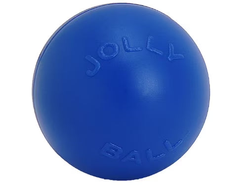 Blue 10 inch Hard Plastic Dog Toy J8971