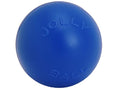 Blue 10 inch Hard Plastic Dog Toy J8971