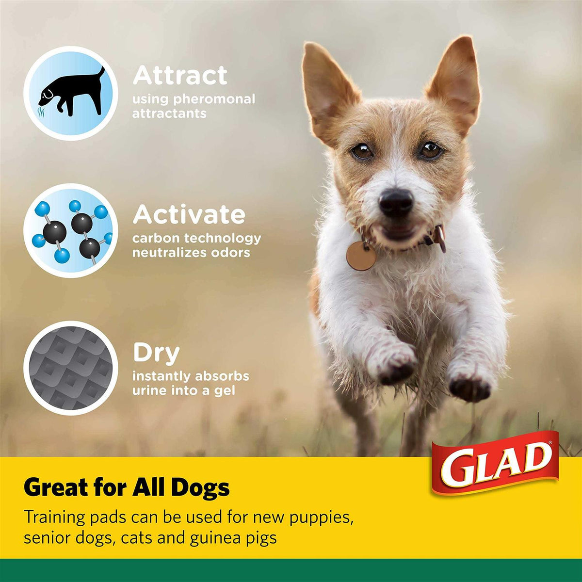 Activated Carbon Puppy Training Pads Q119