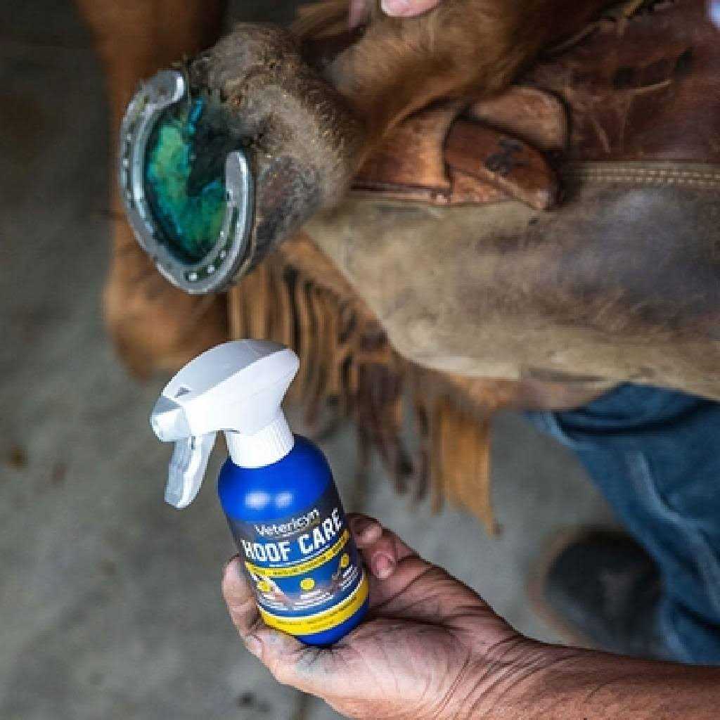 Hoof Care I401118