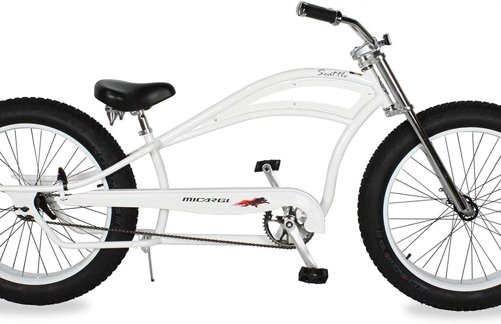 26 Single Speed Fat Tire Beach Cruiser Bike F179