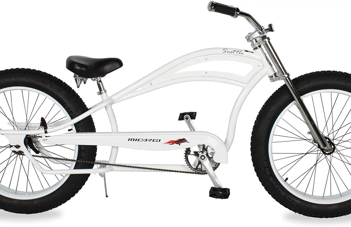 26 Single Speed Fat Tire Beach Cruiser Bike F179