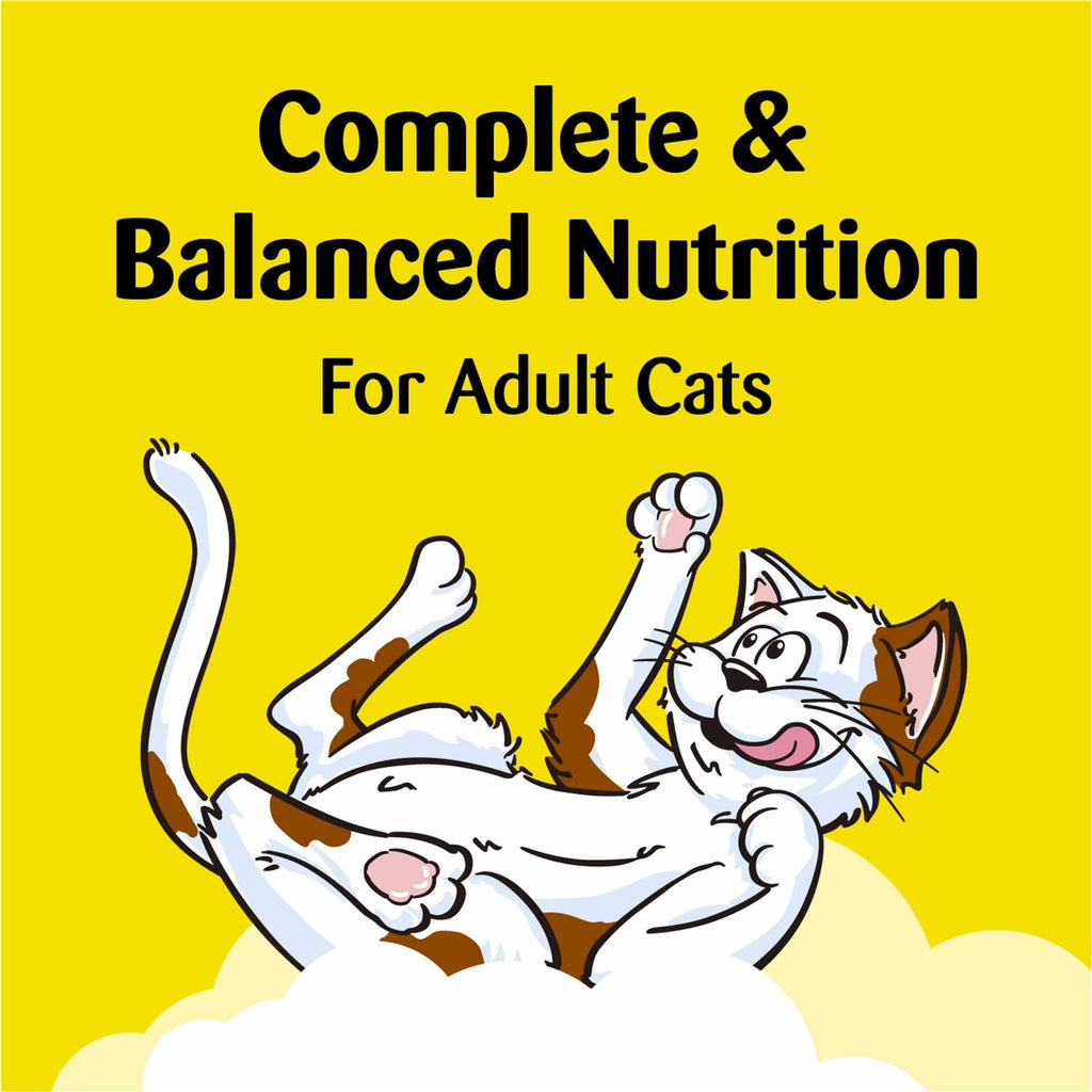 Crunchy and Soft Cat Treats T454101