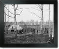 Framed Print D185982
