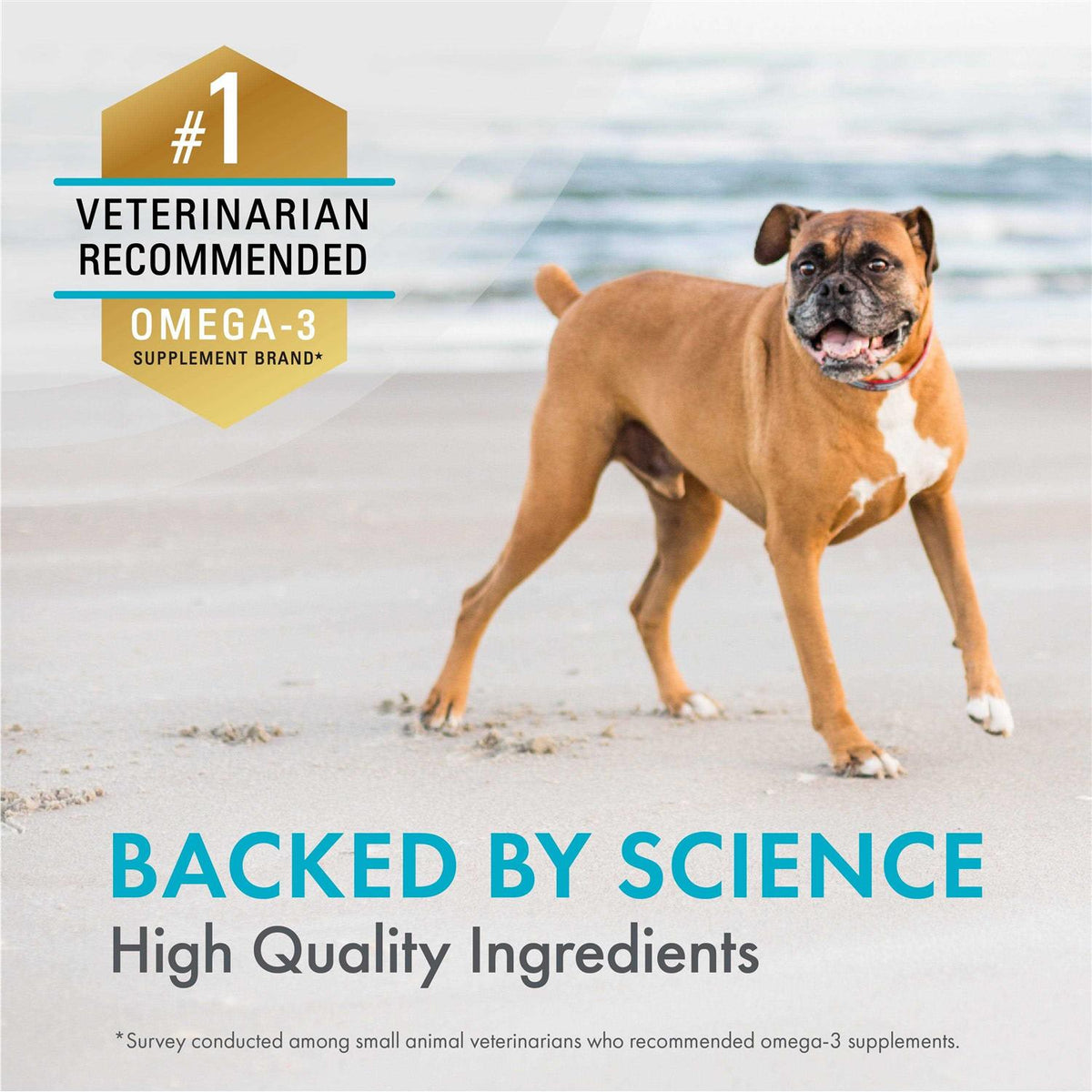Omega-3 Supplement Soft Chews For Dogs K2018