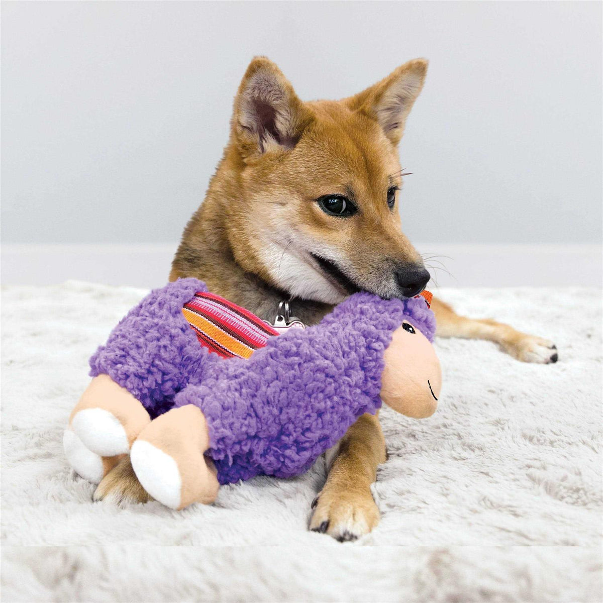 Dog Toy Llama Medium C72756