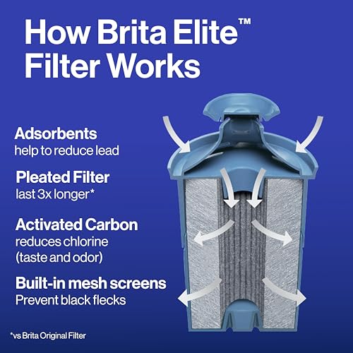 Water Filter Replacements for Pitchers and Dispensers, 2 Count L9976