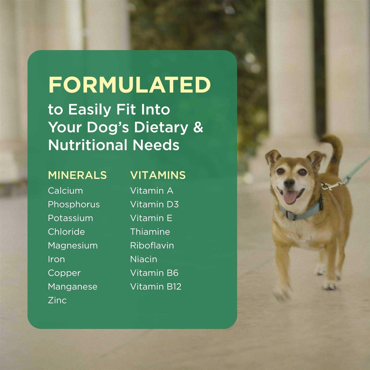 Pet Tabs for Dogs T32404