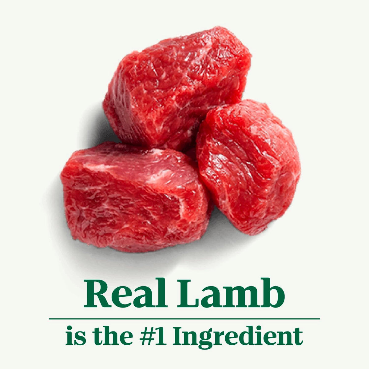 12 lbs Lamb and Brown Rice Dry Dog Food L52334