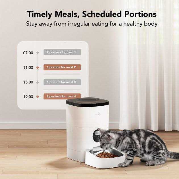 Automatic Dog & Cat Feeder P67637