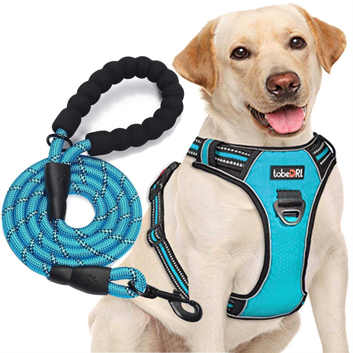 Adjustable Reflective Oxford Dog Harness with 5ft Dog Leash P27519