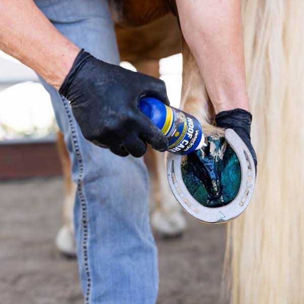 Hoof Care I401118