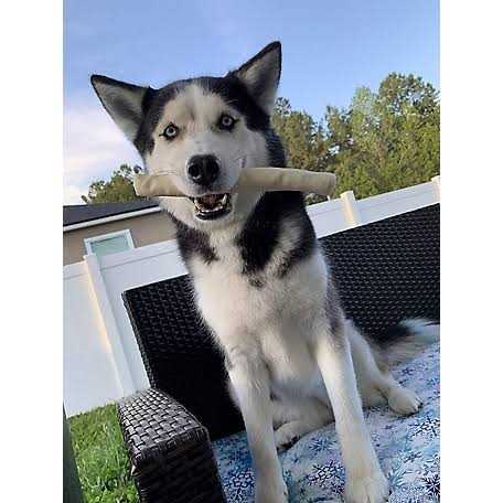 All Natural Rawhide Rolls Dog Chew Treats H8345