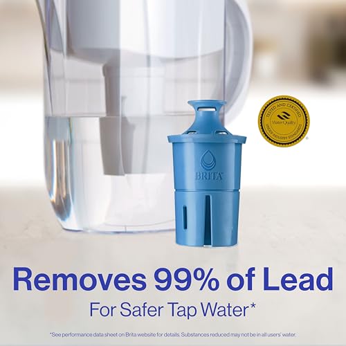 Water Filter Replacements for Pitchers and Dispensers, 2 Count L9976