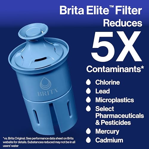 Water Filter Replacements for Pitchers and Dispensers, 2 Count L9976