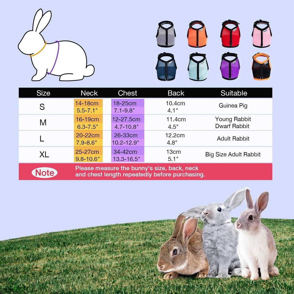 Adjustable Soft Harness with Elastic Leash H31624