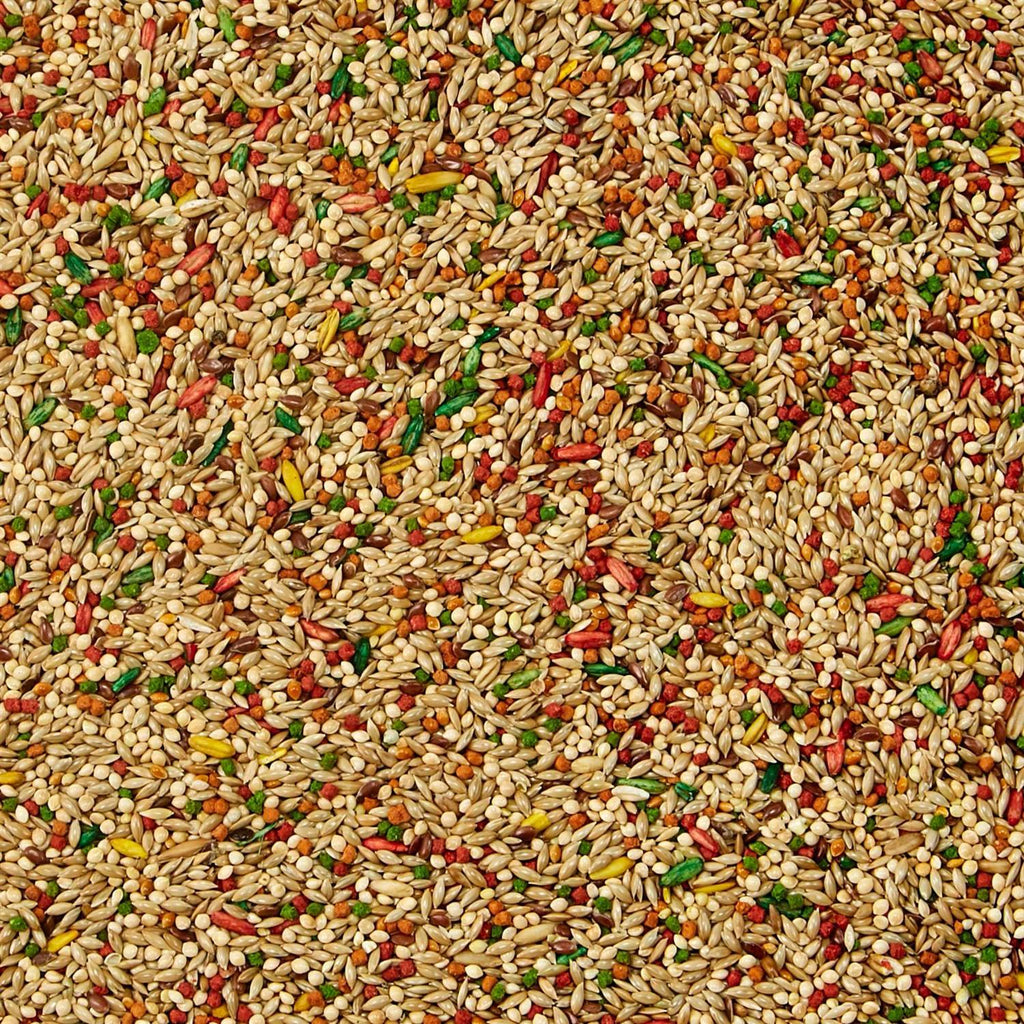 Parakeet Food C387190