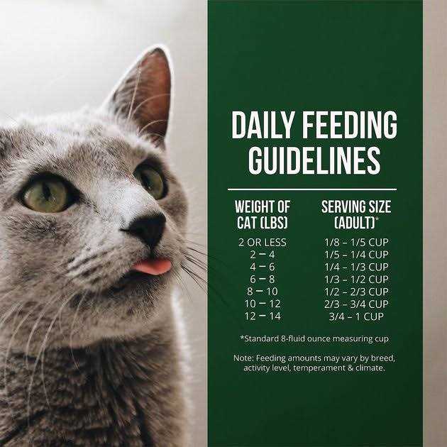 Salmon Chicken Dry Cat Food U671