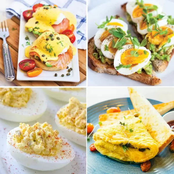 Black 7 Egg Capacity Electric Egg Cooker K765