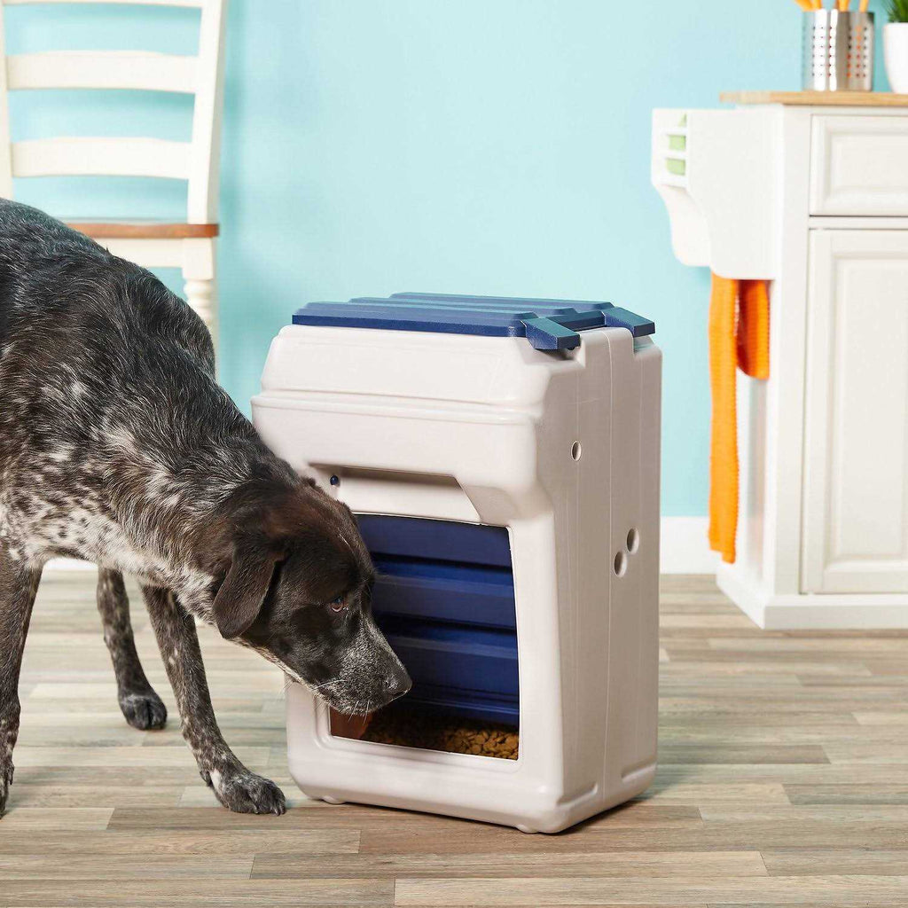 Pet Feeder F2965