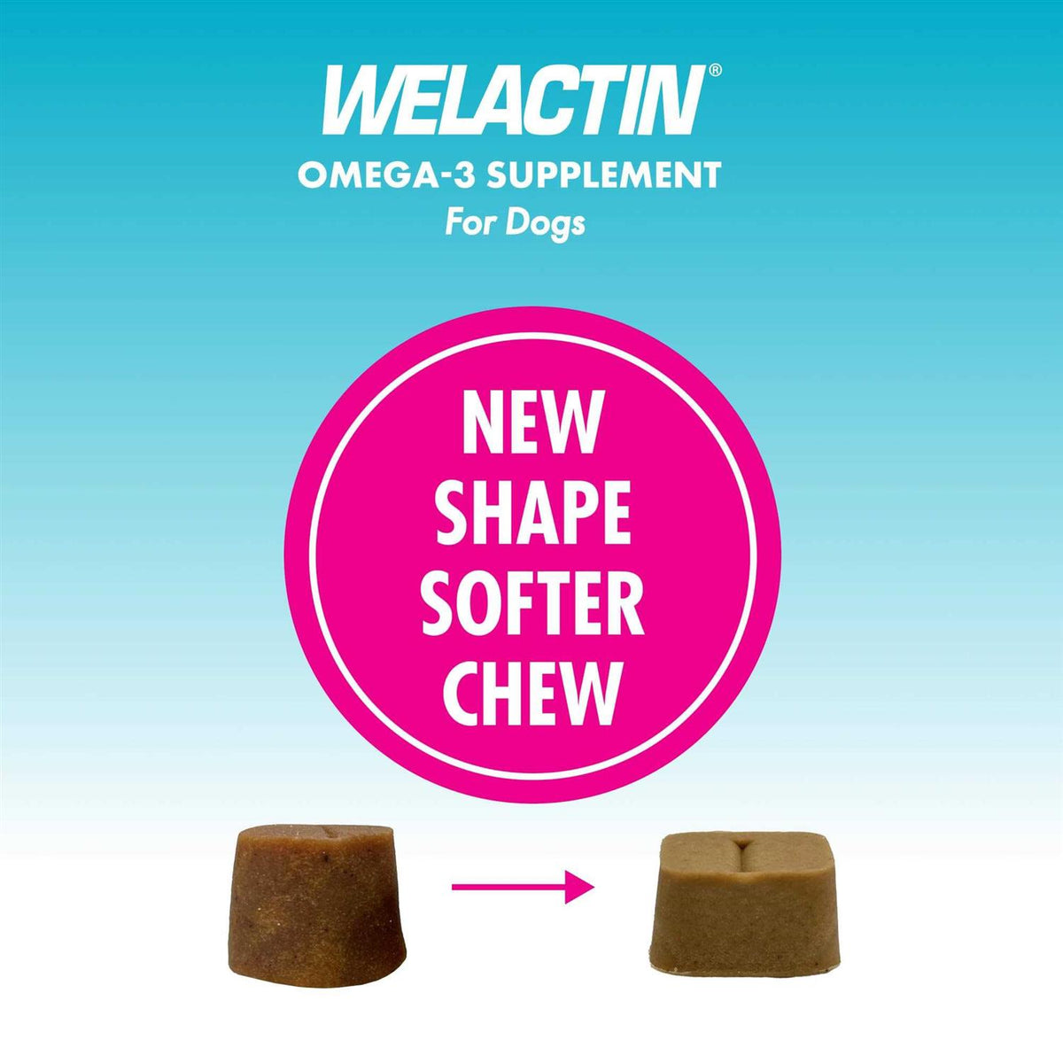 Omega-3 Supplement Soft Chews For Dogs K2018