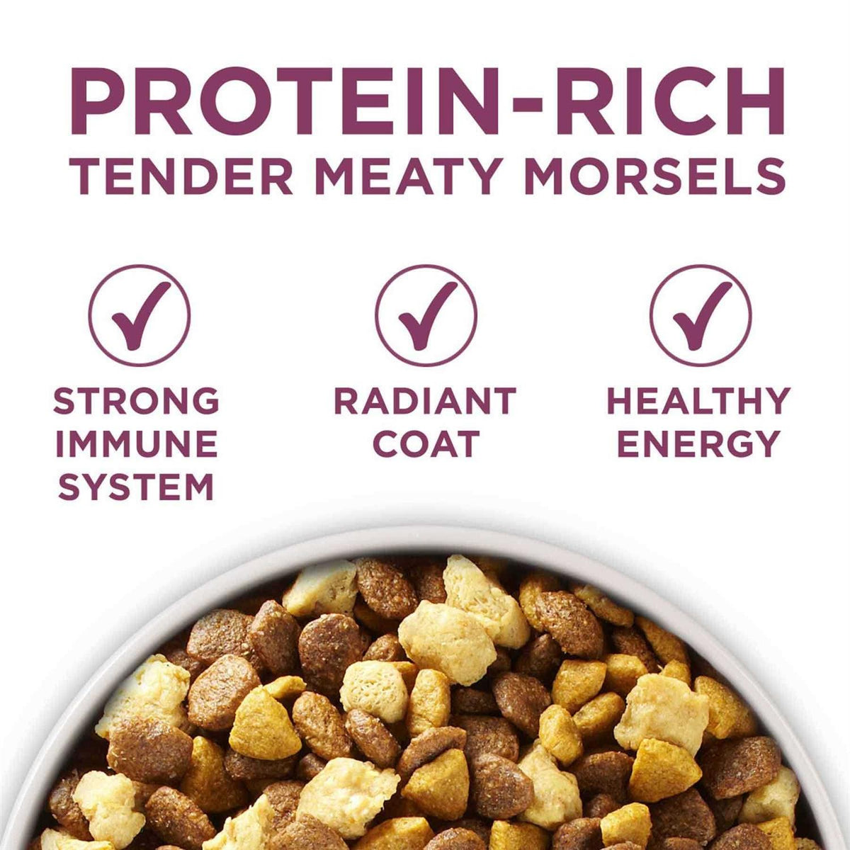 Dry Dog Food R185701
