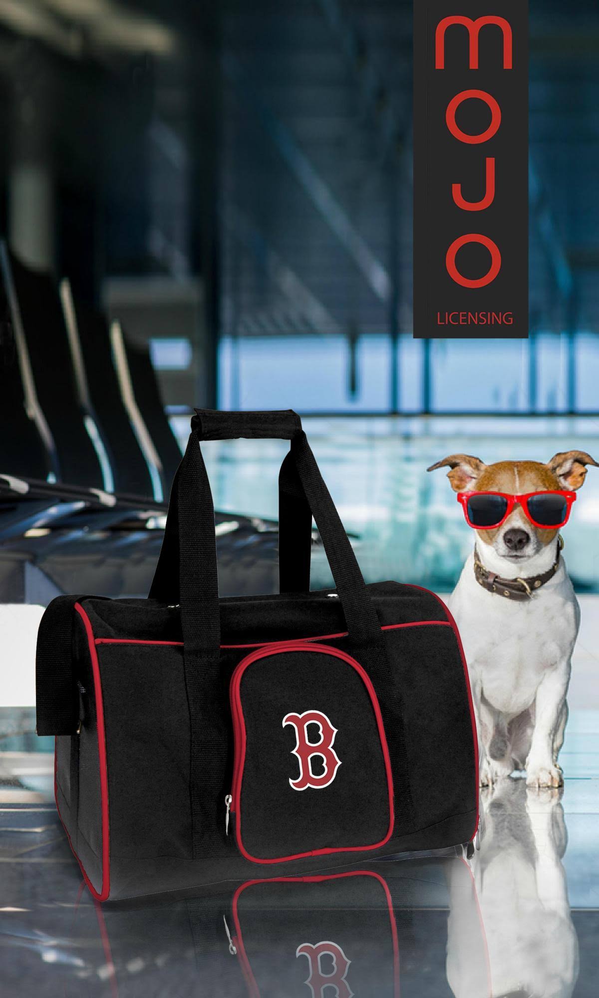 Detroit Lions NFL Pet Carrier V270