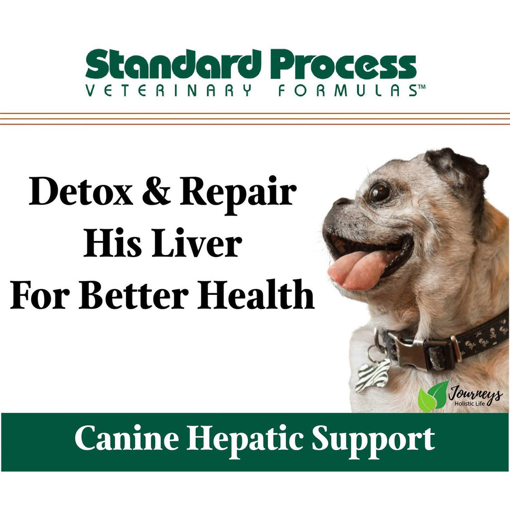 Hepatic Support P546379