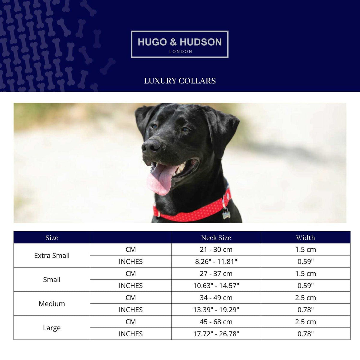 Nylon Dog Collar X142468