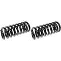 Rear Coil Spring A810