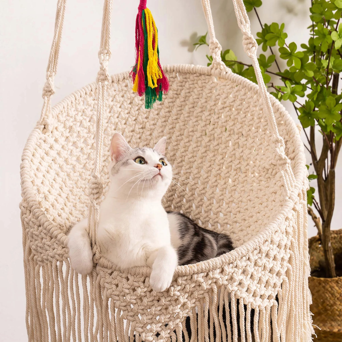 Woven Cotton Cat Hammock Hanging Bed O748500
