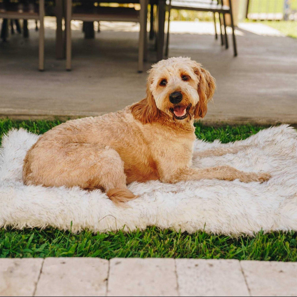 White Portable Orthopedic Dog Bed U85749
