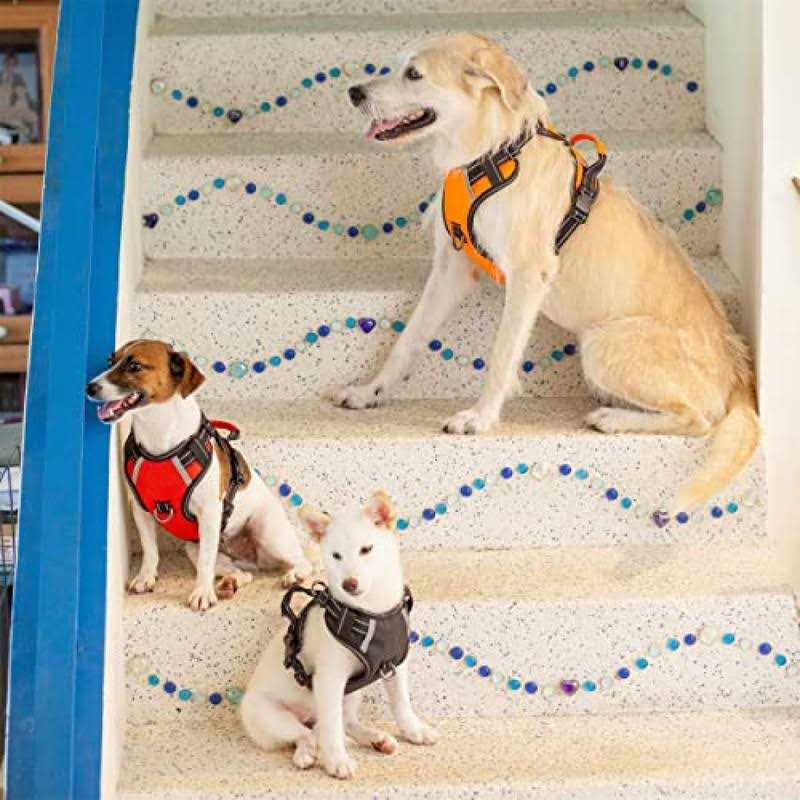 Adjustable Reflective Oxford Dog Harness with 5ft Dog Leash P27519
