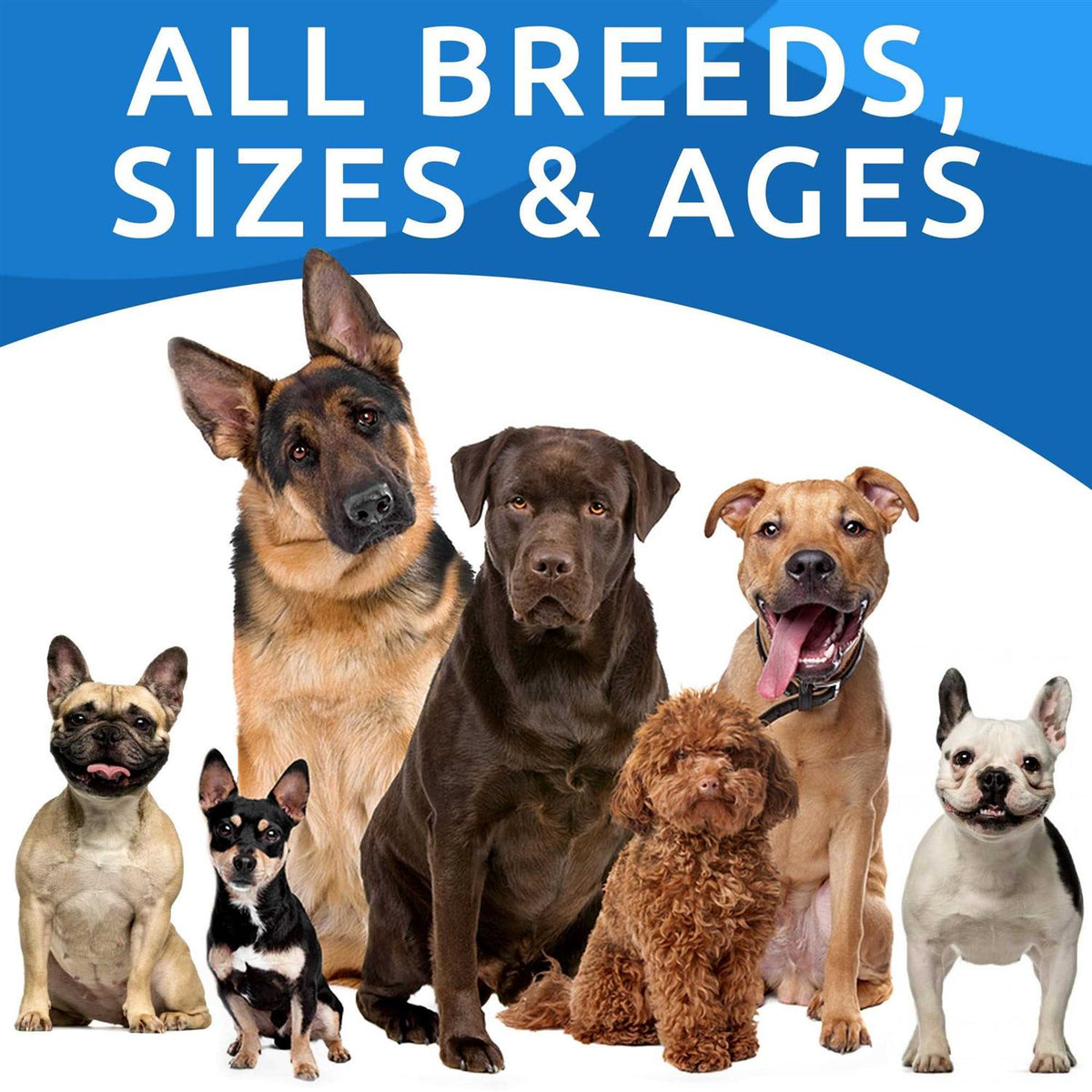 Probiotics For Dogs U612