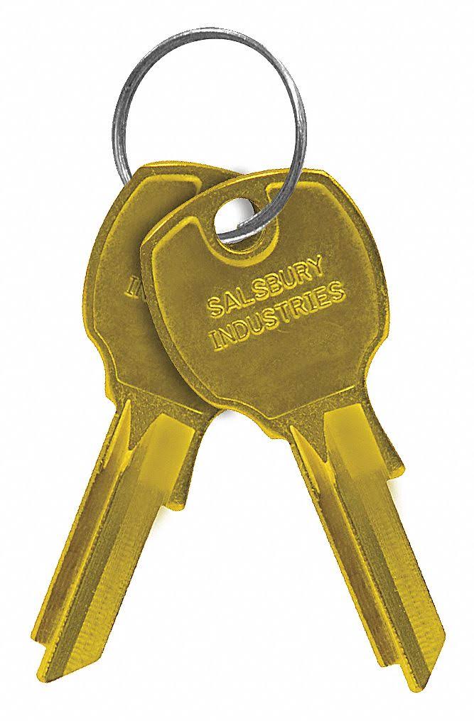 Key Blank with Pins Z8182