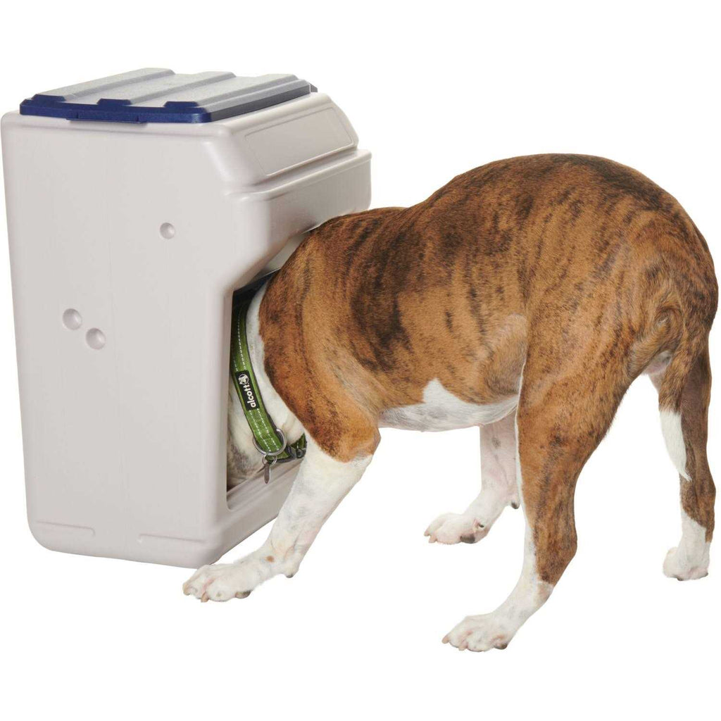Pet Feeder F2965