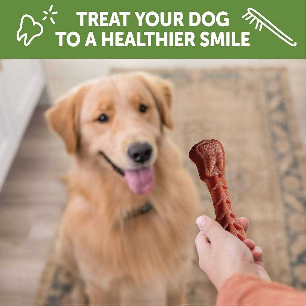 Natural Dental Dog Treats Value Box W703
