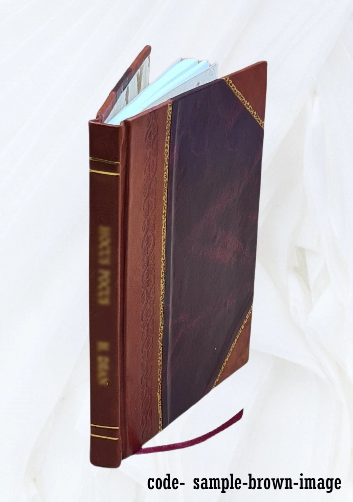 Leather Bound Z773534