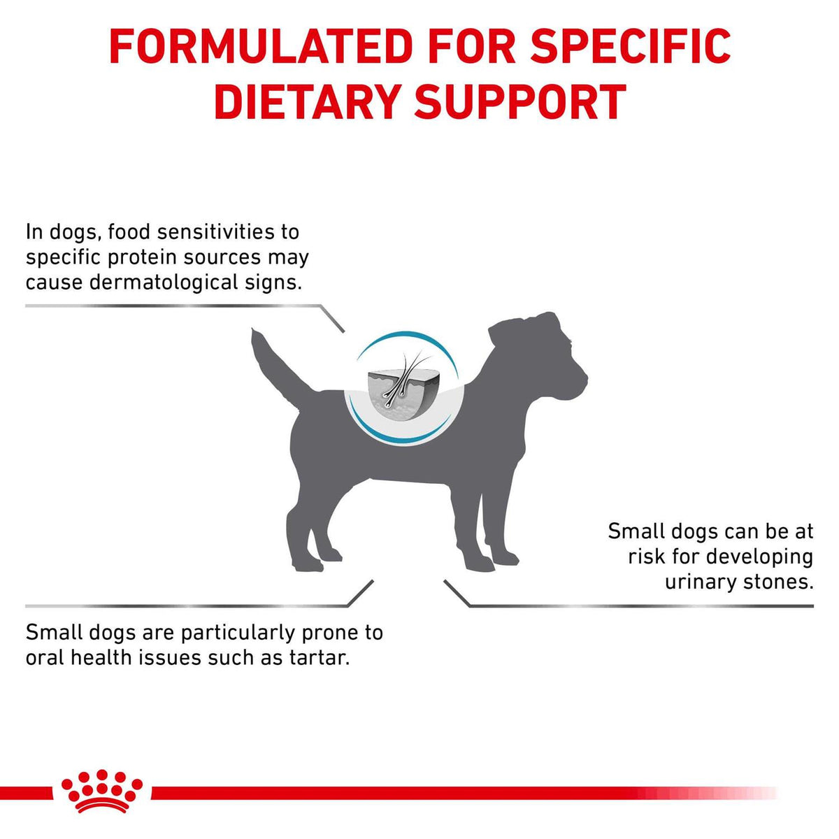 Hydrolyzed Protein Small Dog Dry Food L410
