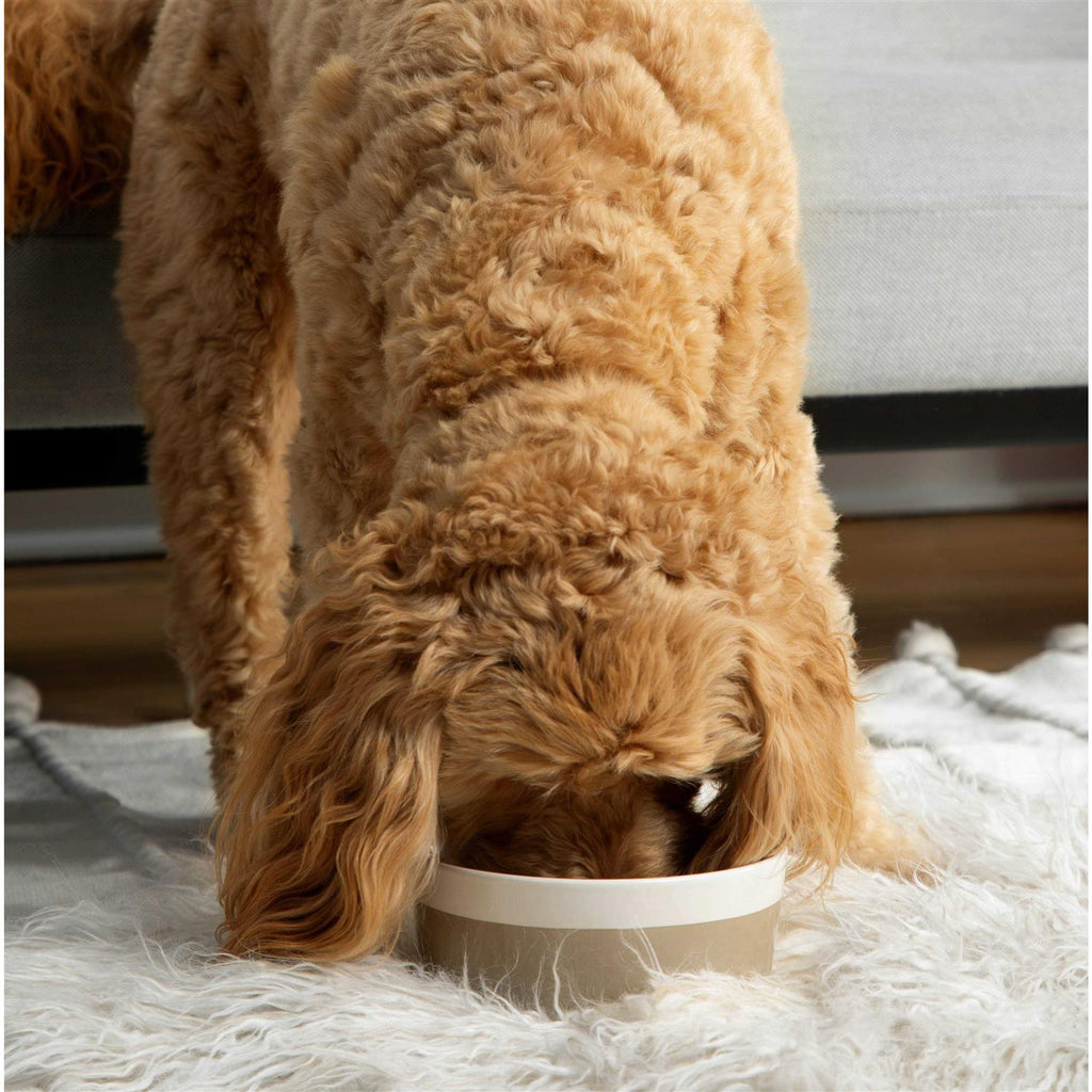 Ceramic Dog Bowl W606