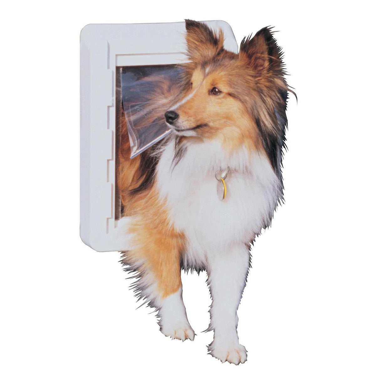 All Weather Pet Door G287795