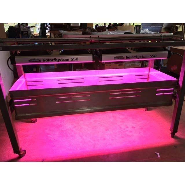 550 Programmable Spectrum LED Q33771